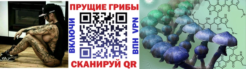 Галлюциногенные грибы Psilocybine cubensis  Сольцы 